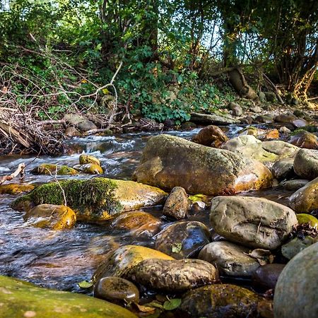 Apartamentos Rincon Del Duende San Martin  Dış mekan fotoğraf
